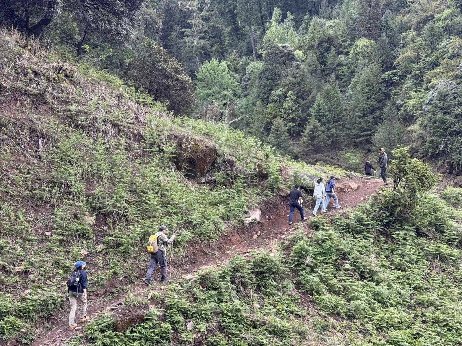Trekking visitors in the mountain