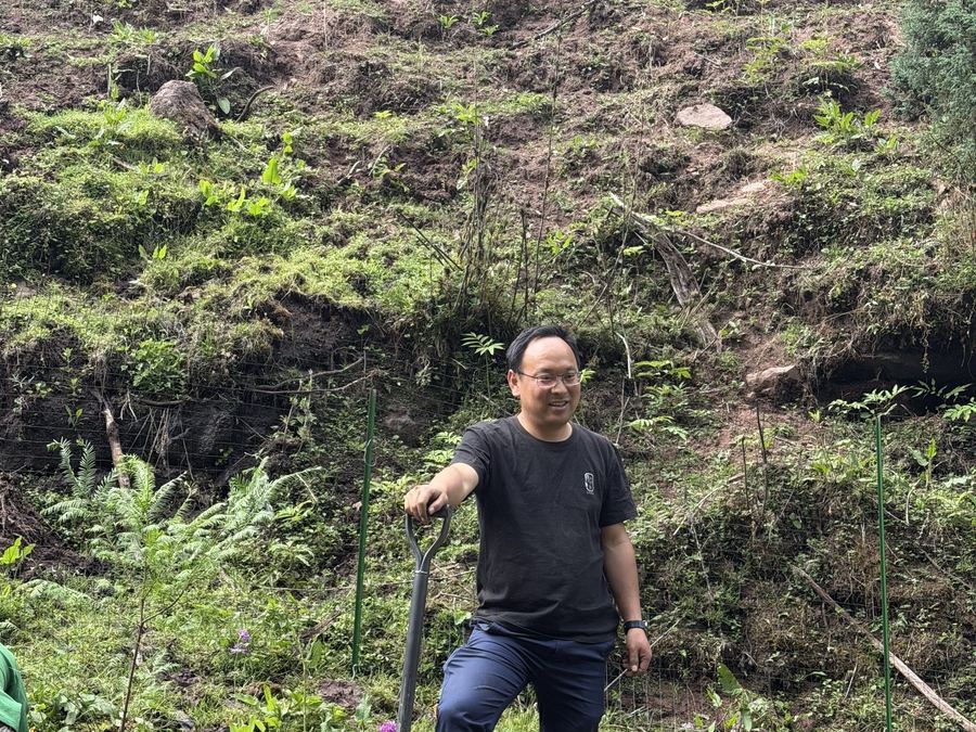 Medicinal fields in the Lijiang landscape