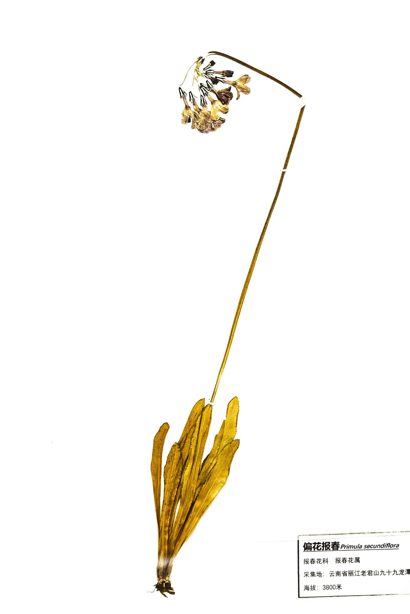 Habitat record