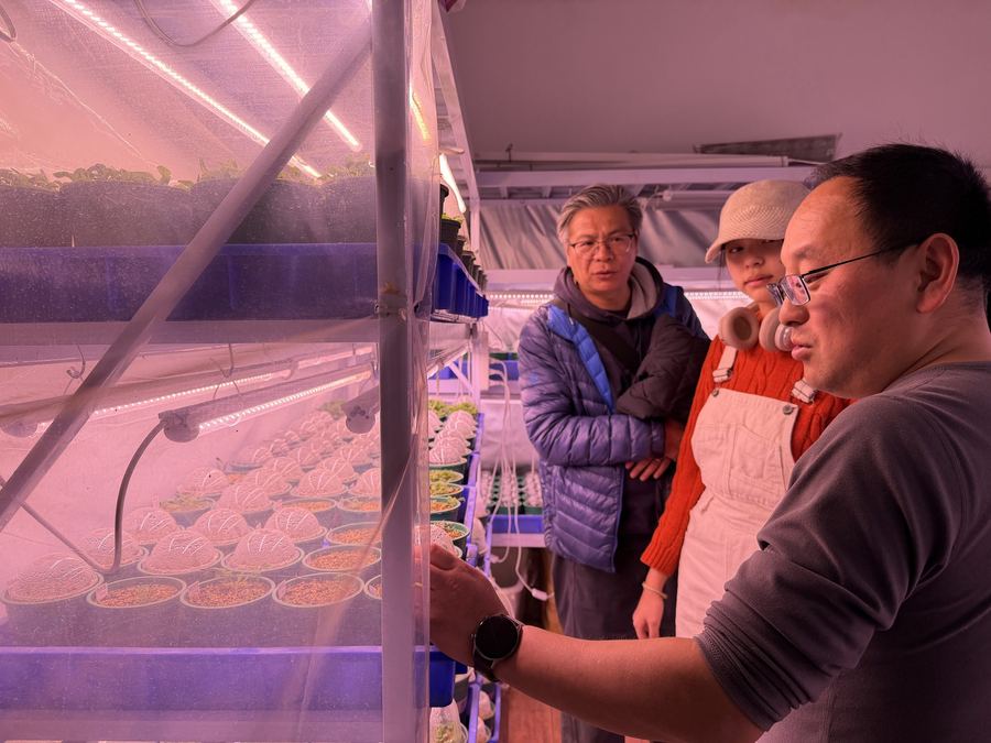 Nursery cultivation in the greenhouse