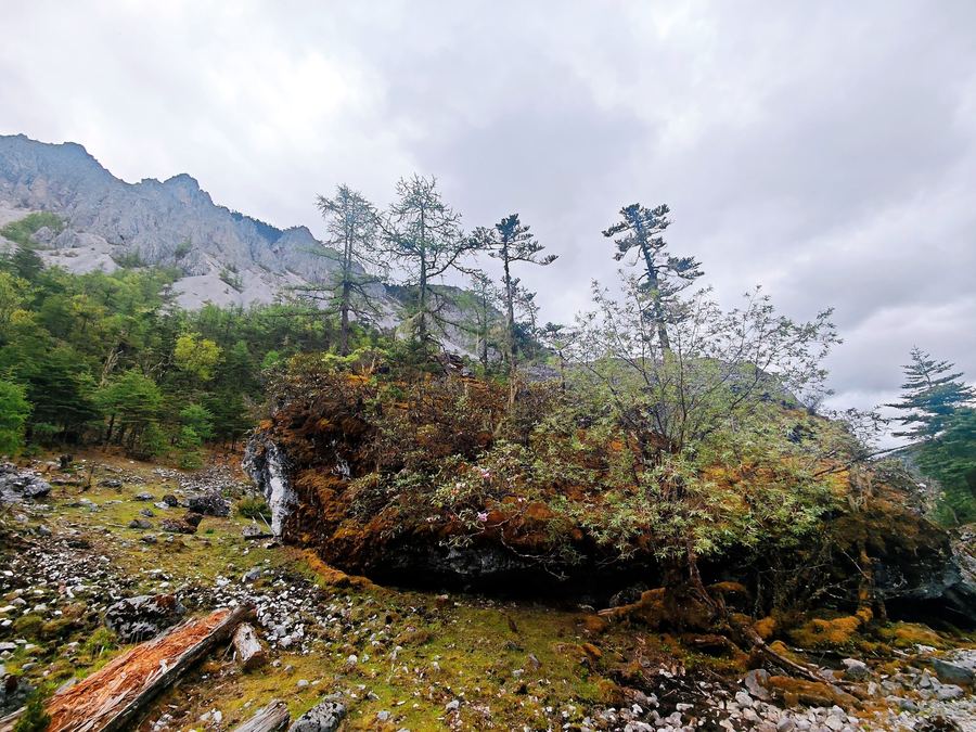 The lived and worked landscape of Liju